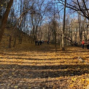 Meet your Posher, Eileen